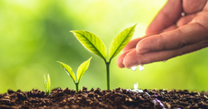 3-simple-ways-to-maintain-growth