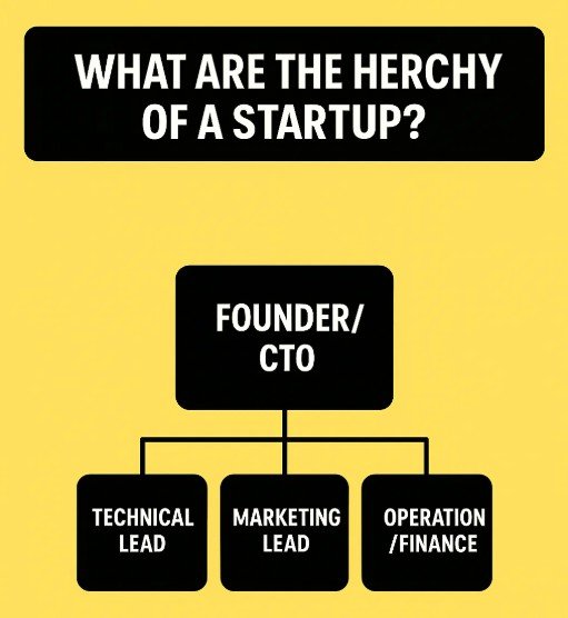 Typical startup organizational chart.